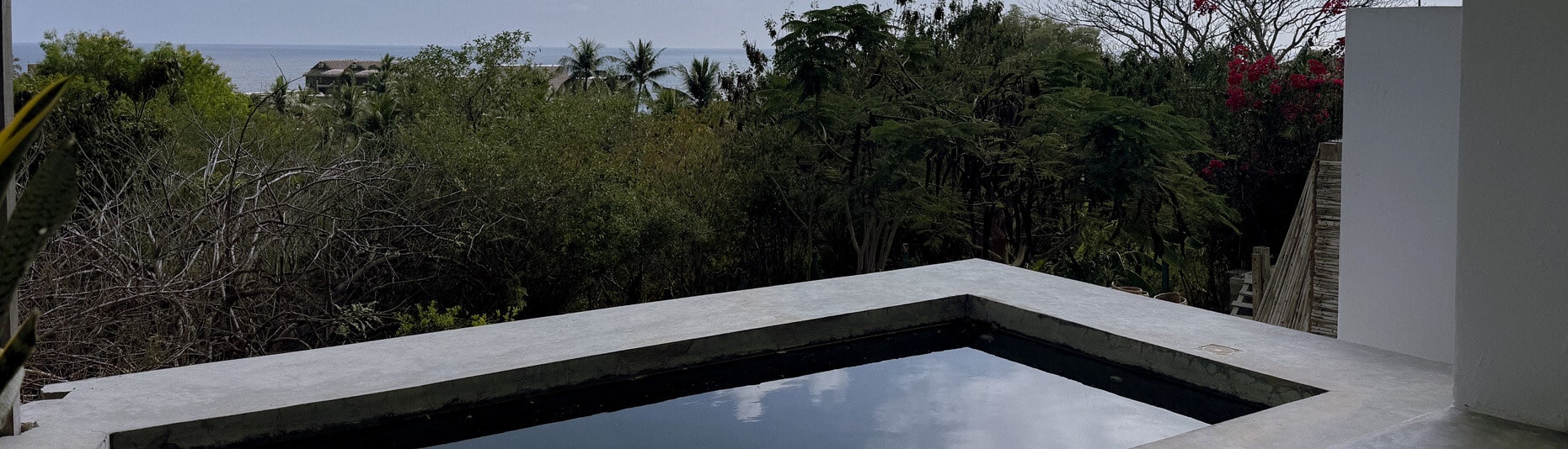 Private concrete plunge pool at Hotel Lalo Zipolite overlooking lush tropical trees and the Pacific horizon.